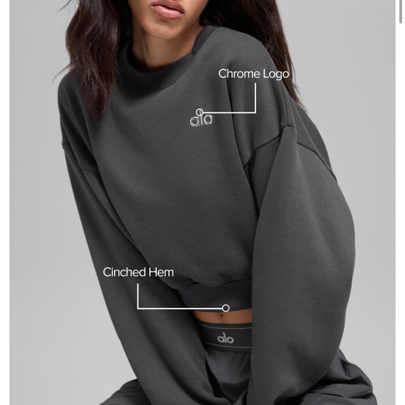 ALO Yoga Sweaters - Alo Cropped Accolade Crewneck